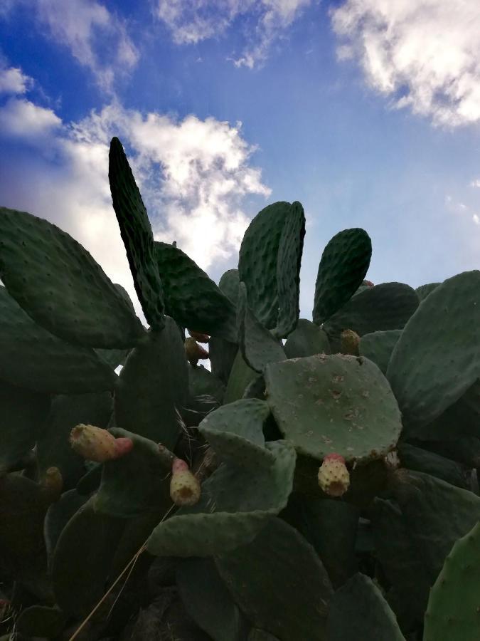 Casavero 沃罗里尼 外观 照片